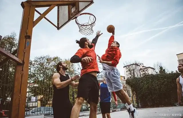 篮球训练法读后感怎么写_1